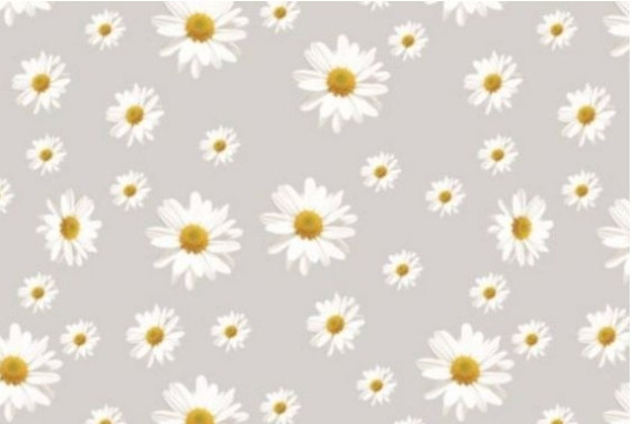 Клейонка в рулоні  TM Dariana 1,35*30м E555-1 СИЛІКОНОВА