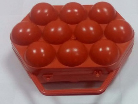 Лоток для яєць (10шт)